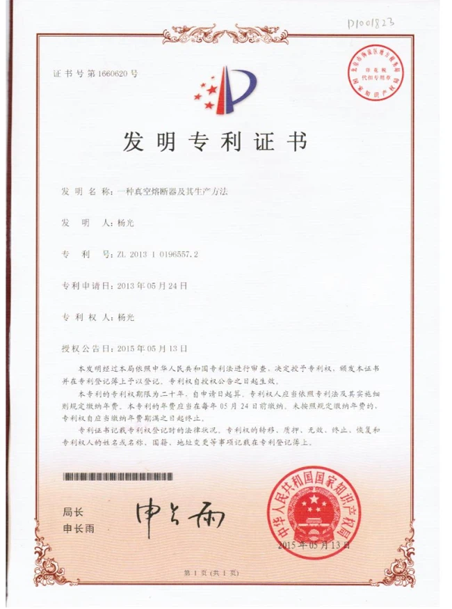 Patent osigurača 24. maja 2013